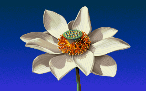Amiga Pixel art 1, JimSachs-JimSachs_AmigaDemo2