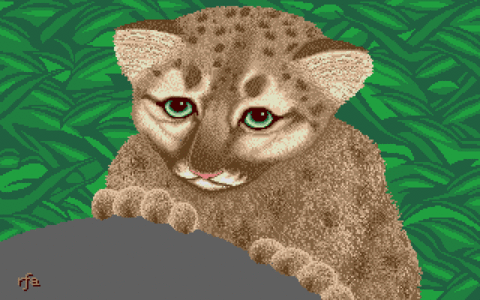 Amiga Pixel art 2, Applications-_images-GraphicsStudio_Cougar.tft1