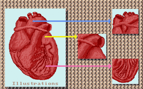 Amiga Pixel art 2, Applications-_images-ProPaint_Heart.tft1
