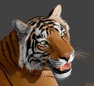 Amiga Pixel art 2, Graaf-_images-Graaf_Tiger.tft1