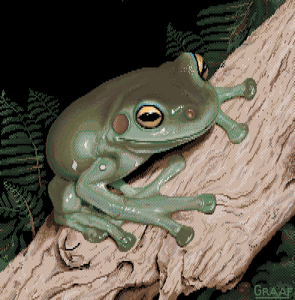 Amiga Pixel art 2, Graaf-_images-Graaf_TreeFrog.tft1
