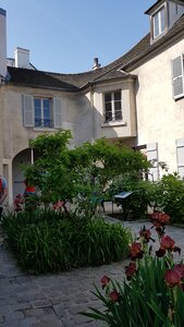 Jardins du musée de Montmartre et vigne, 20230528_105950