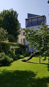 Jardins du musée de Montmartre et vigne, 20230528_112732