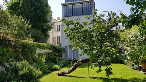 Jardins du musée de Montmartre et vigne, 20230528_112741