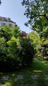 Jardins du musée de Montmartre et vigne, 20230528_120932