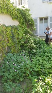 Jardins du musée de Montmartre et vigne, 20230528_122002