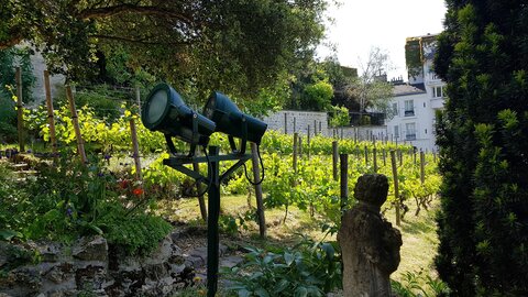 Jardins du musée de Montmartre et vigne, 20230529_155114