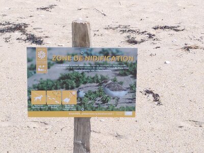 Grande plage presqu’île de Gavres, 19 mai 2023<br>@copyleft <a href=https://www.le-fab-lab.com>Le Fab'Blab</a> Licence Art Libre, presqu-ile-gavres-2023-05-19-24